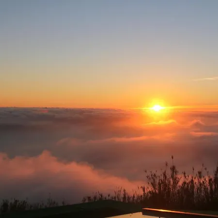 Madeira Native Motion Gasthuis