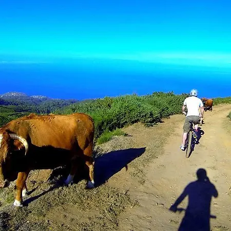 Madeira Native Motion *