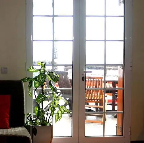 Madeira Native Motion 3*