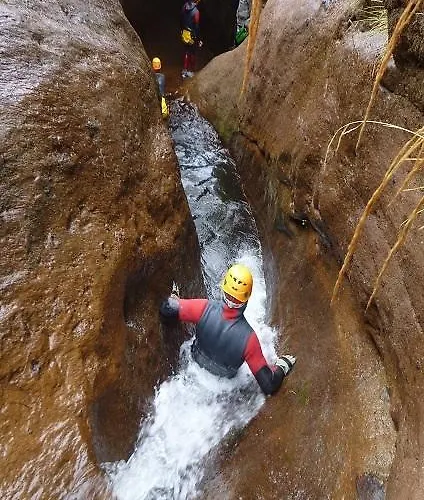 Madeira Native Motion 招待所