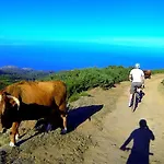 Madeira Native Motion 3*
