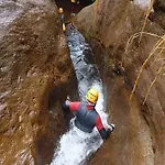 Madeira Native Motion Affittacamere