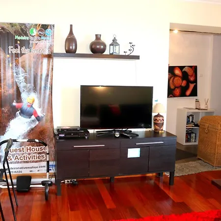 Madeira Native Motion Guest house