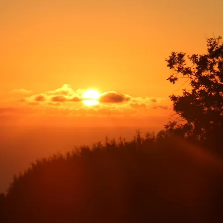 Guest house Madeira Native Motion 3*