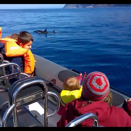 Guest house Madeira Native Motion