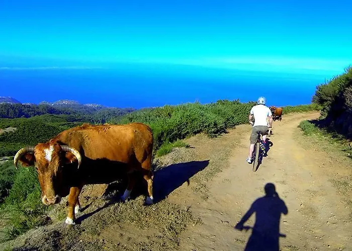 Madeira Native Motion 3*