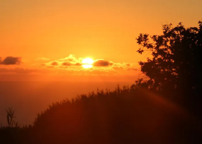 Maison d'hôtes Madeira Native Motion 3*